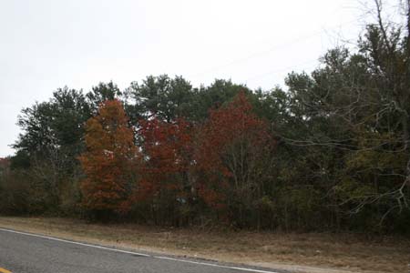 Nov0808 247