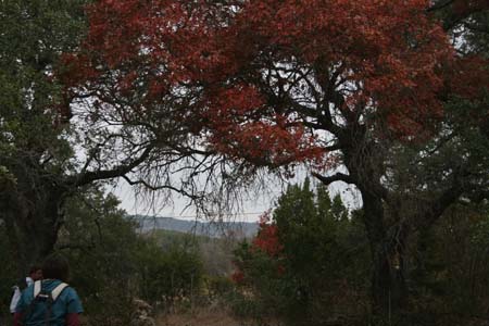 Nov0808 255