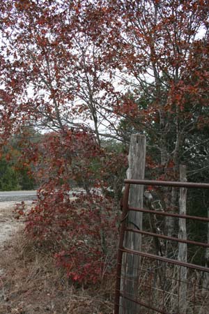 Nov0808 258
