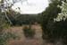 50acres