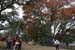 Nov0808 246