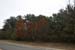 Nov0808 247