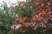 Nov0808 251