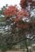 Nov0808 252