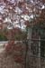 Nov0808 258